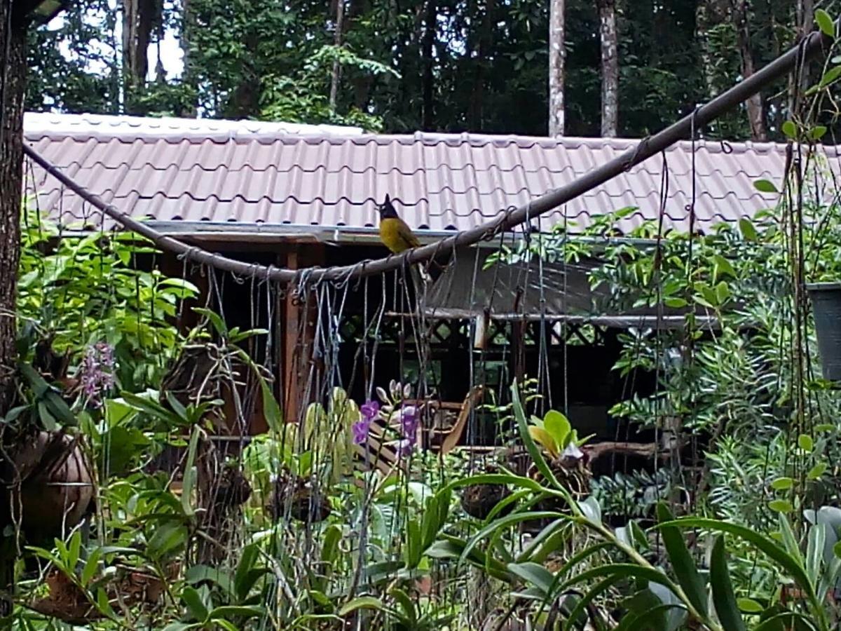 Hotel Koh Kood Little Hut Ko Kut Exteriér fotografie