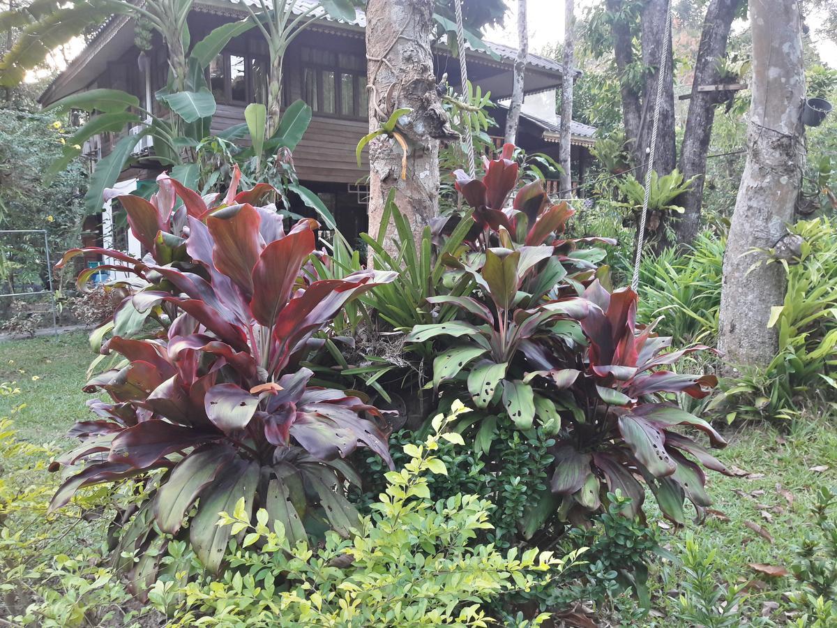 Hotel Koh Kood Little Hut Ko Kut Exteriér fotografie
